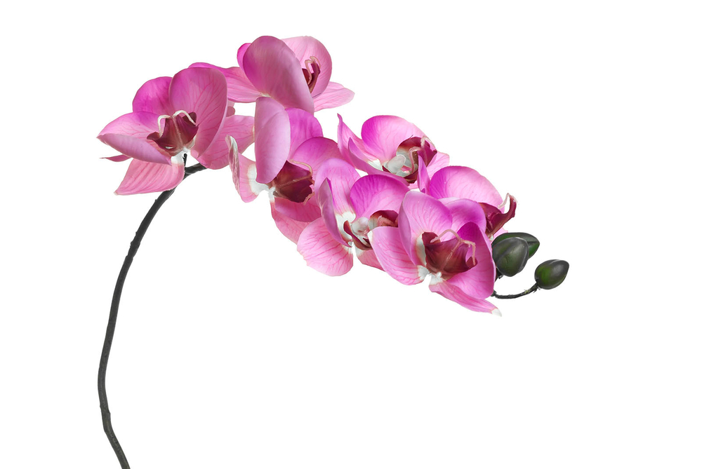 Искусственный цветок Орхидея розовая 85см Garda Decor 8J-1219S0004