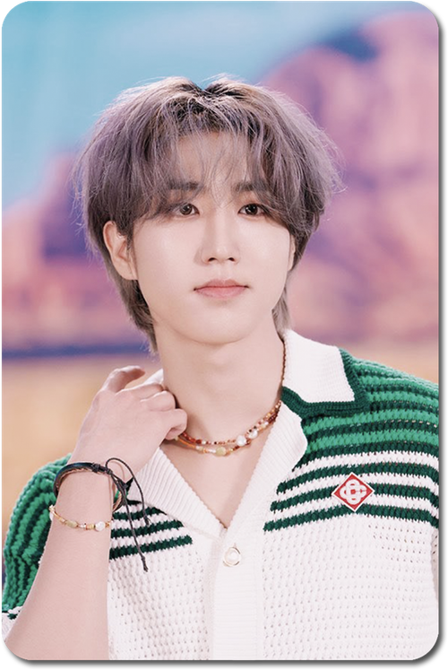 Карта / STRAY KIDS #0463