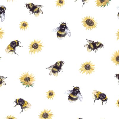 Акварельные пчелки, подсолнухи и шмели на белом фоне