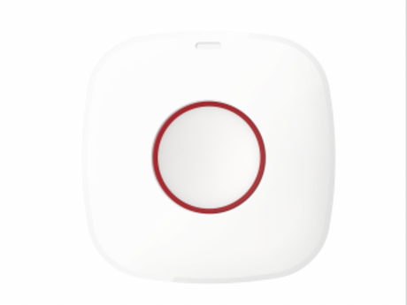 Button1  DS-PDEB1-EG2-WE