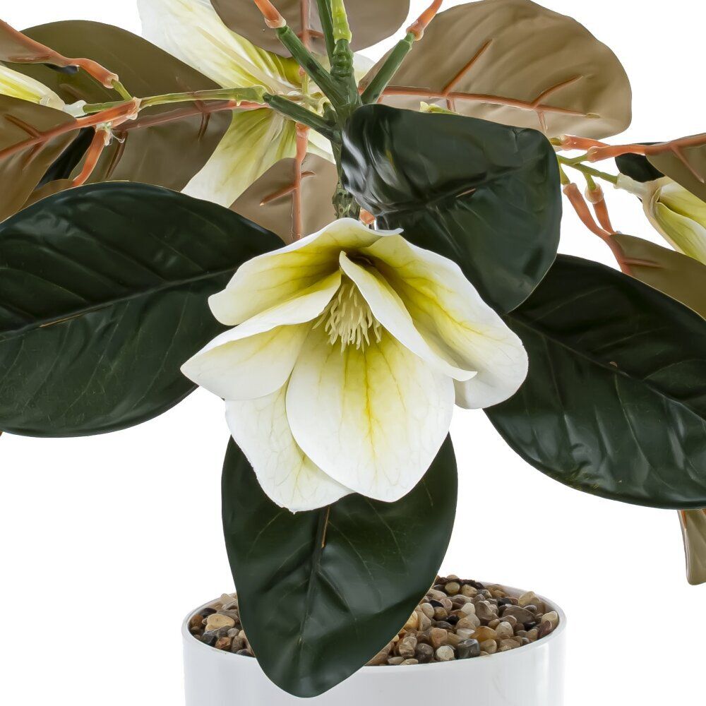 GAEM Цветочная композиция "Магнолия", L44 W44 H47 см