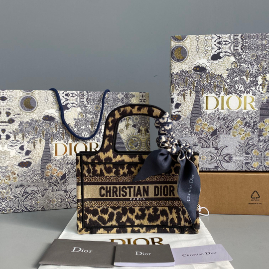 Christian Dior Mini Book Tote