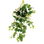 Виноград 93 см.