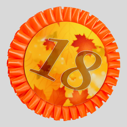 Номер участника. Диаметр 115 мм.