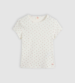 Футболка женская LEVI'S DRY GOODS TEE