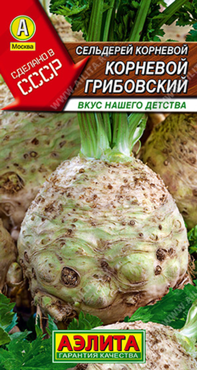 Сельдерей корневой Грибовский