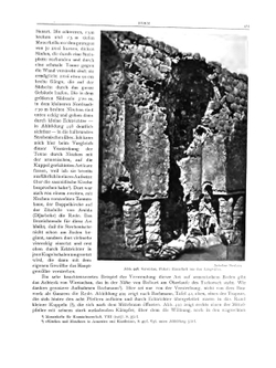 Die Baukunst der Armenier und Europa. Volume 2 | Josef Strzygowski