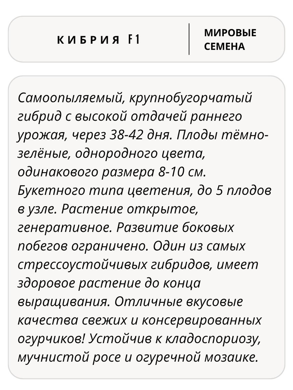 Семена огурцов Кибрия F1, 7 семян (Vita Green / Вита Грин)