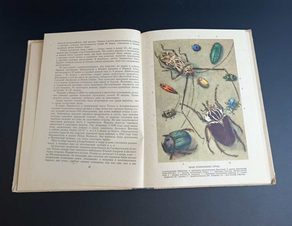 Книга Занимательная зоология Я. А. Цингер 1962 г. VF
