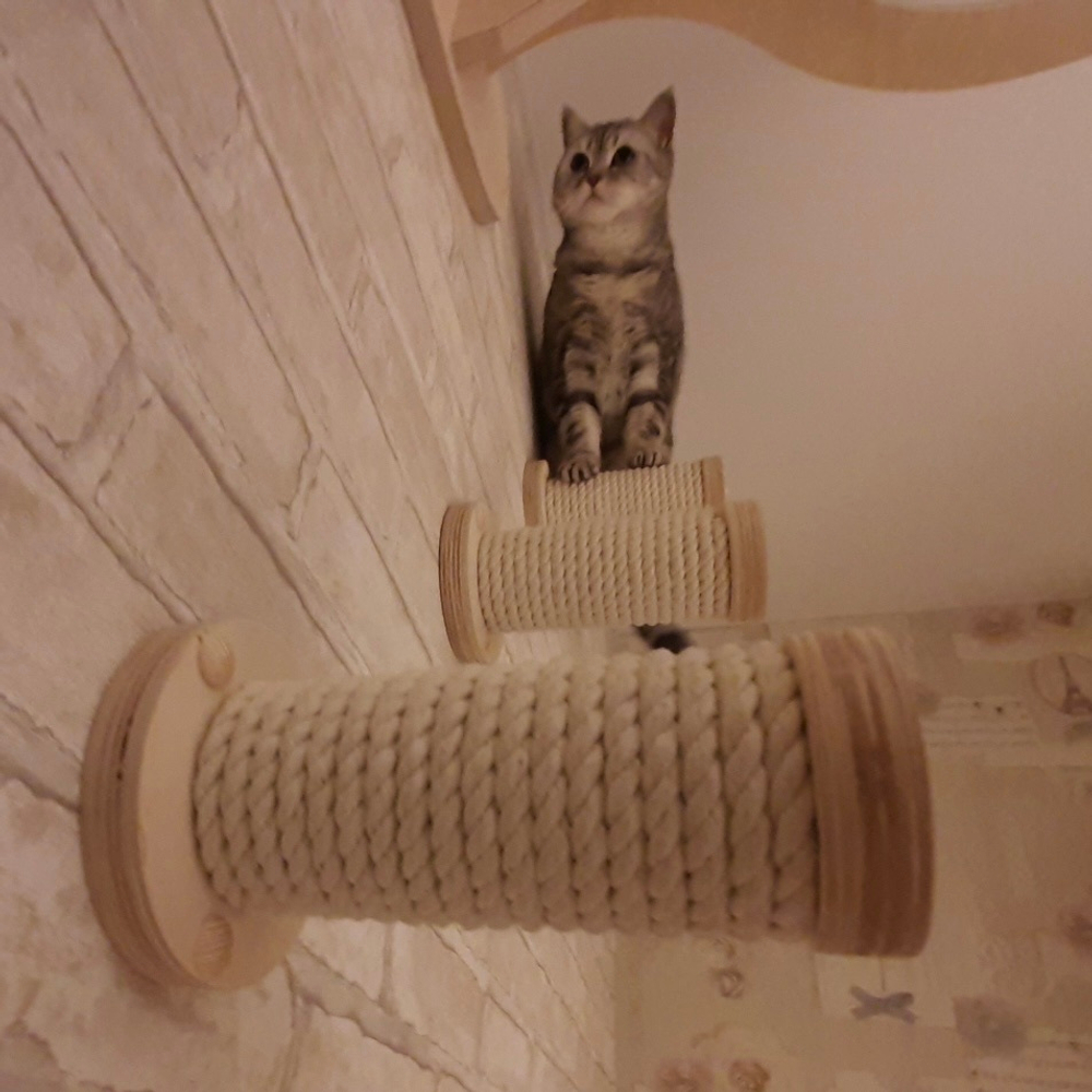 Ступенька круглая