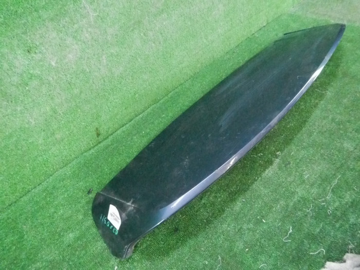 DSCN8993.JPG