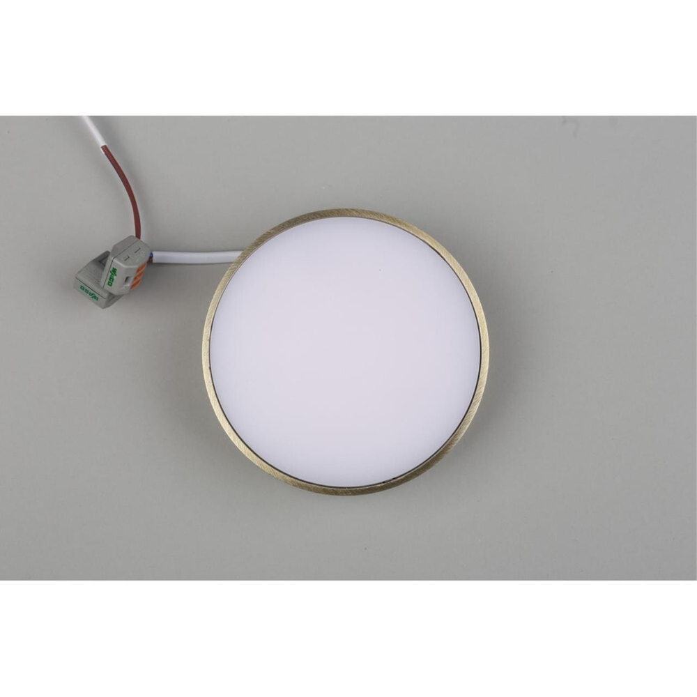 Потолочный светодиодный светильник Aployt Evon APL.0113.29.12