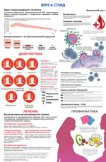 Комплект плакатов для кабинета акушера-гинеколога