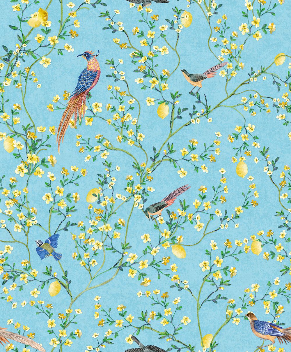 Gloockler Pompoos Provence