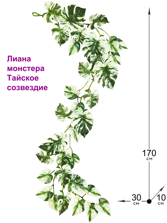 Искусственная Лиана Монстера Тайское созвездие 170см