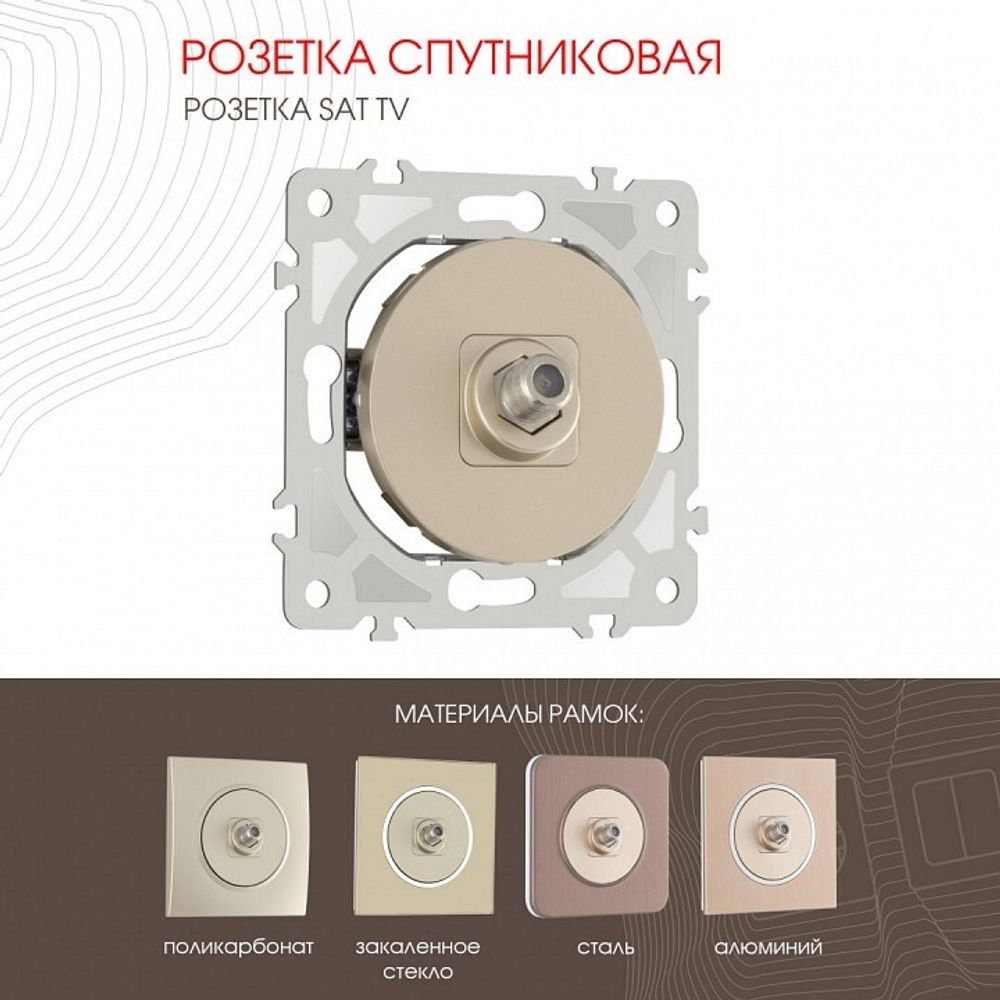 ТВ-розетка без рамки Arte Milano am-202 202.42-1.shampan