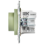SKANDY Термостат электронный с индикацией SK-T01G мятный IEK