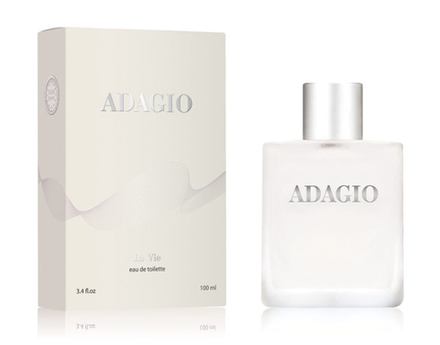 Туалетная вода мужская "La Vie Adagio" 100мл. Dilis