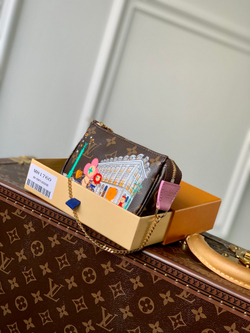Louis Vuitton Mini Pochette Accessoires