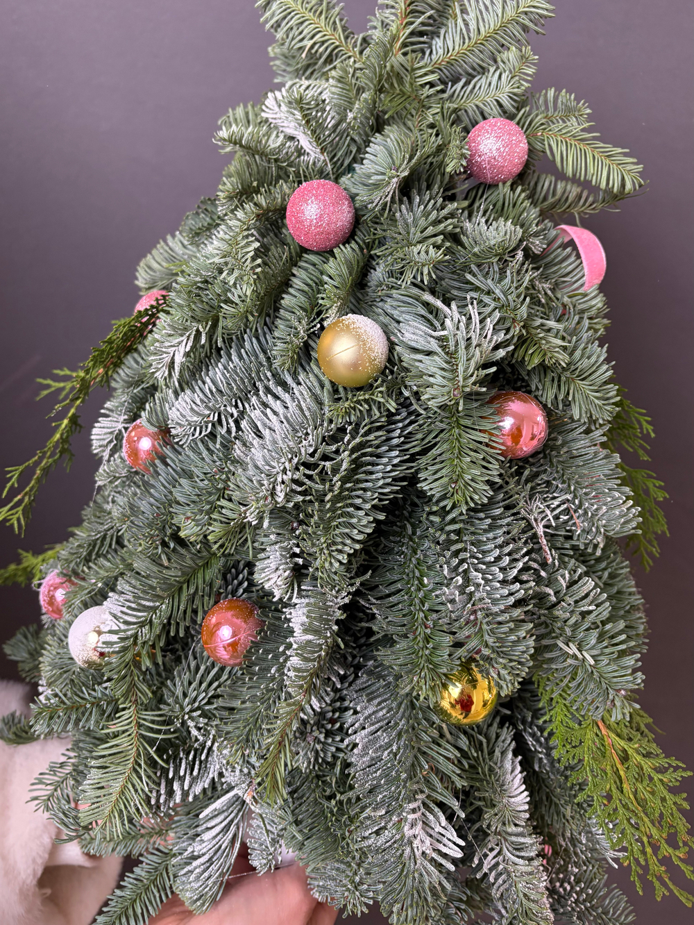 Ёлочка живая «Рождественский ангел»