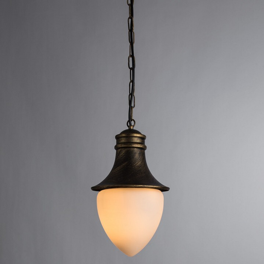 Уличный подвесной светильник Arte Lamp A1317SO-1BN