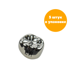 Второй нижний правый моляр, размер 7 (E-LR-7)