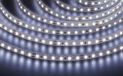 Лента светодиодная Navigator 24V 9,6Вт 6000К IP20 бухта 5м белая 40630