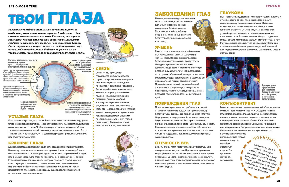 Все о моем теле