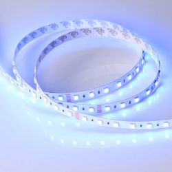 Светодиодная лента RT-B60-12mm 24V RGBW-Day-4-in-1 (19.2 W/m, IP20, 5060, 5m) (Arlight, Открытый) 019151(2)