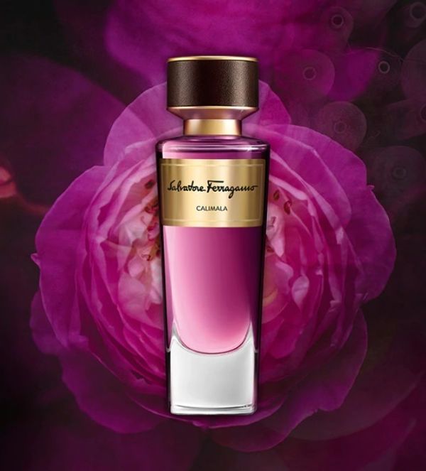 Salvatore Ferragamo Calimala