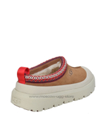 TAZZ HYBRID - chestnut white