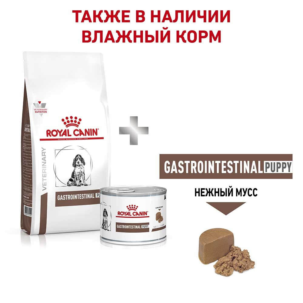 Royal Canin VET Gastro Intestinal Puppy - диета для щенков с проблемами ЖКТ