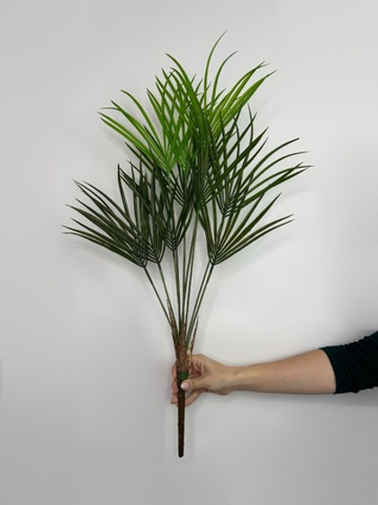 Пальма веерная / Арт 6267