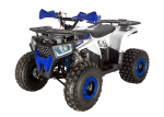Квадроцикл AVANTIS Optima 8 NEW