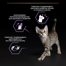 Влажный корм Pro Plan® HEALTHY START для котят с говядиной в соусе, Пауч 85 г