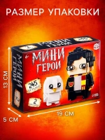 Конструктор «Мини Герои», Волшебник с питомцем, 245 деталей