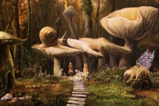 Грибы-рекордсмены: самые удивительные экземпляры планеты