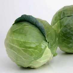 БУХАРЕСТ F1 семена капусты белокочанной (Seminis | Alexagro)