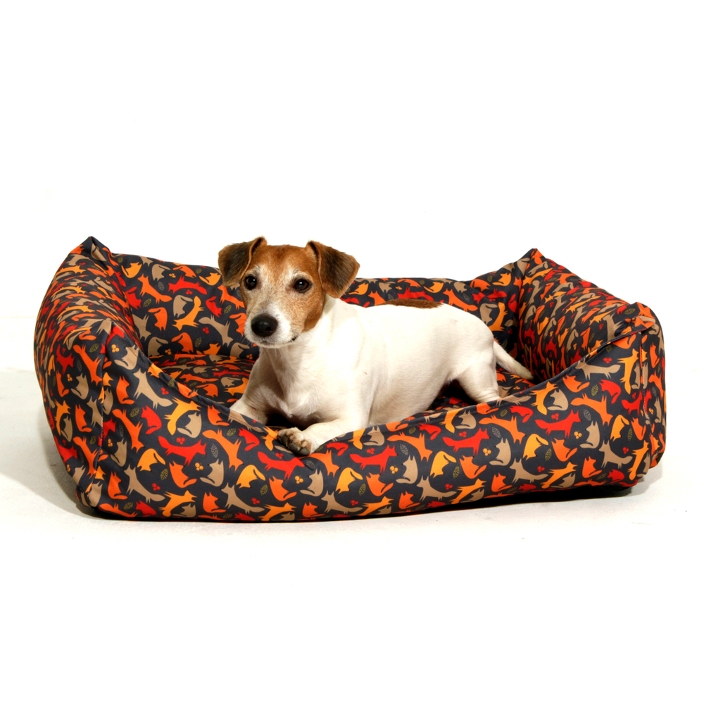 Лежак DOGLEA RECTA FOX