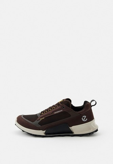 Кроссовки мужские ECCO BIOM 2.1 X MOUNTAIN M