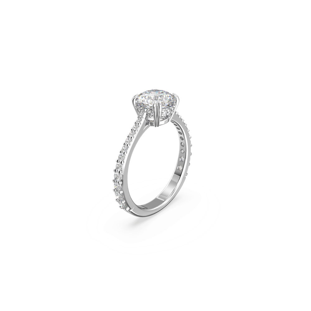CONSTELLA:SET RINGS WHI/RHS 50