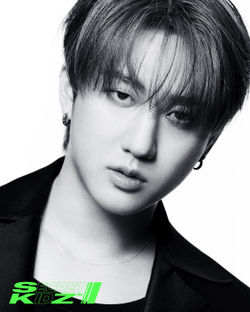 публикация DICON - VOLUME N 21 STRAY KIDS : SECRET KIDZ CHANGBIN B Type