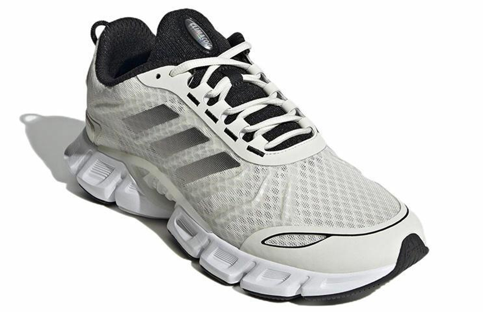 Кроссовки Adidas Climacool