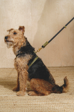 Шлейка "Пони-Макарони" Зеленая