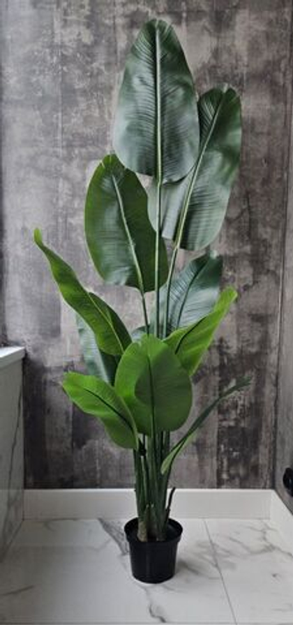 Стрелиция 180 см без кашпо / Арт 3082