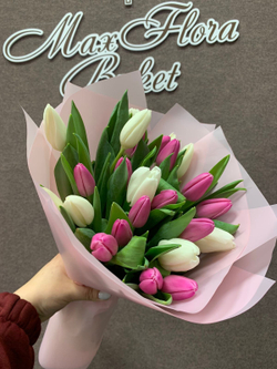 Букет 25 тюльпанов 8 Марта М-61