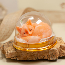 Котенок спящий