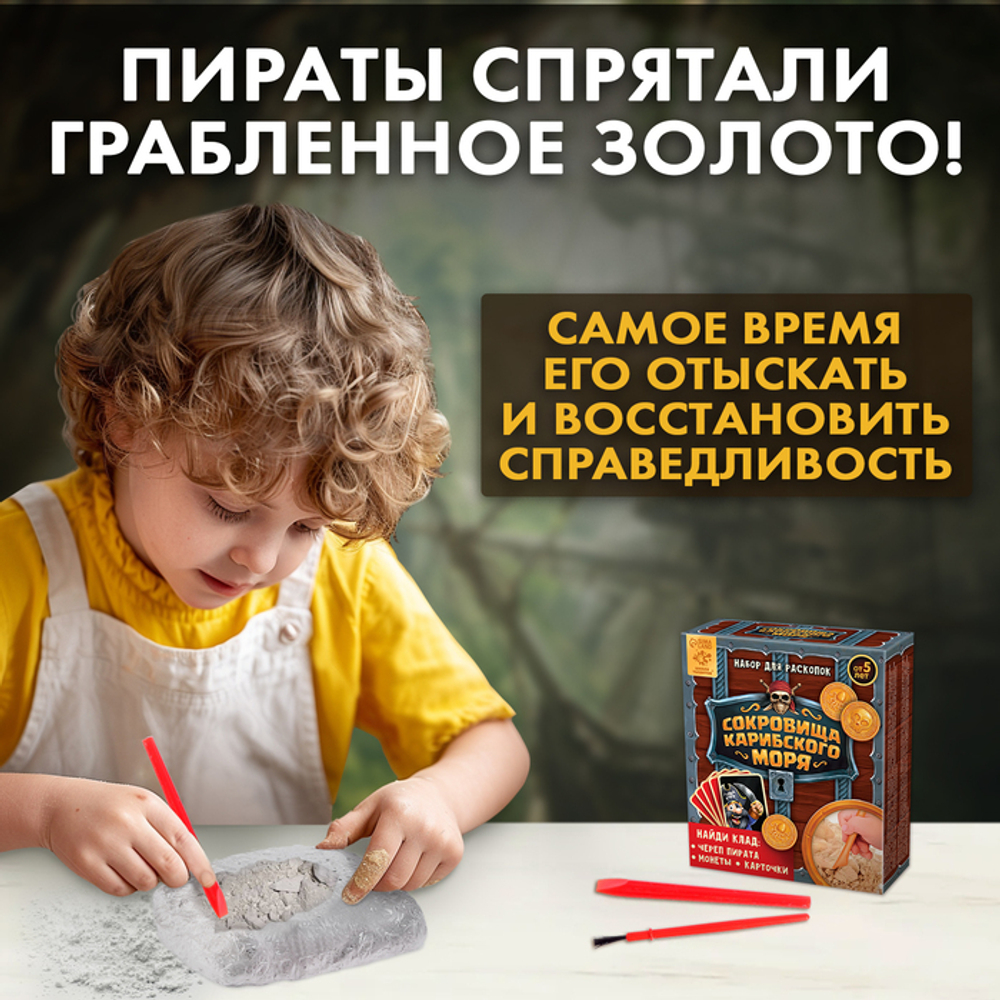 Набор для раскопок "Сокровища карибского моря"   4064771