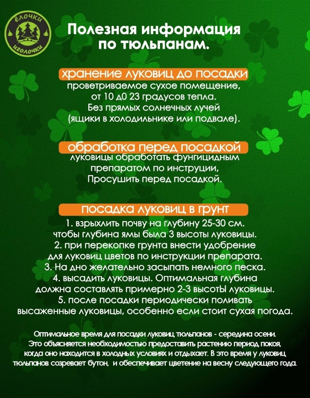 Тюльпан Луковицы неочищенные, Микс сортов, 100шт+