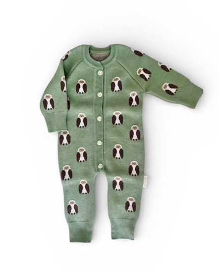 7055-338 Комбинезон вязаный (совы)